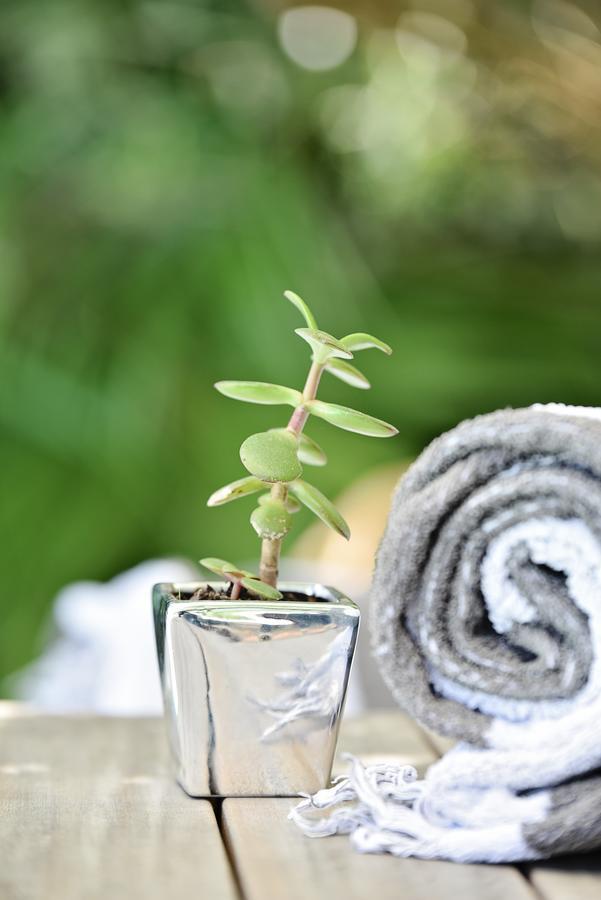 Vilacqua Boutique Guest Villa Plettenberg Bay Bagian luar foto