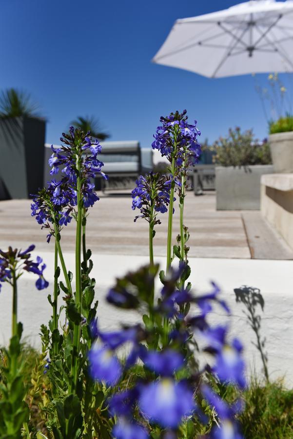 Vilacqua Boutique Guest Villa Plettenberg Bay Bagian luar foto