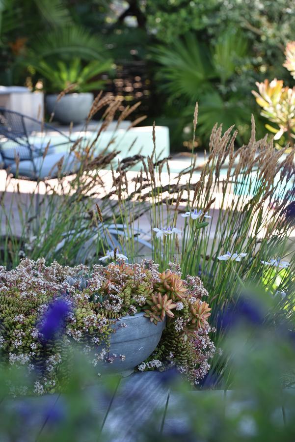Vilacqua Boutique Guest Villa Plettenberg Bay Bagian luar foto