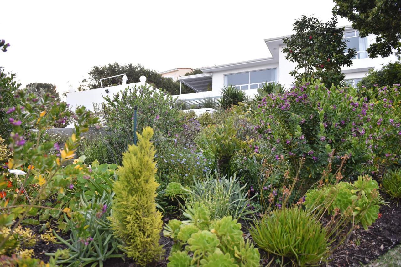 Vilacqua Boutique Guest Villa Plettenberg Bay Bagian luar foto